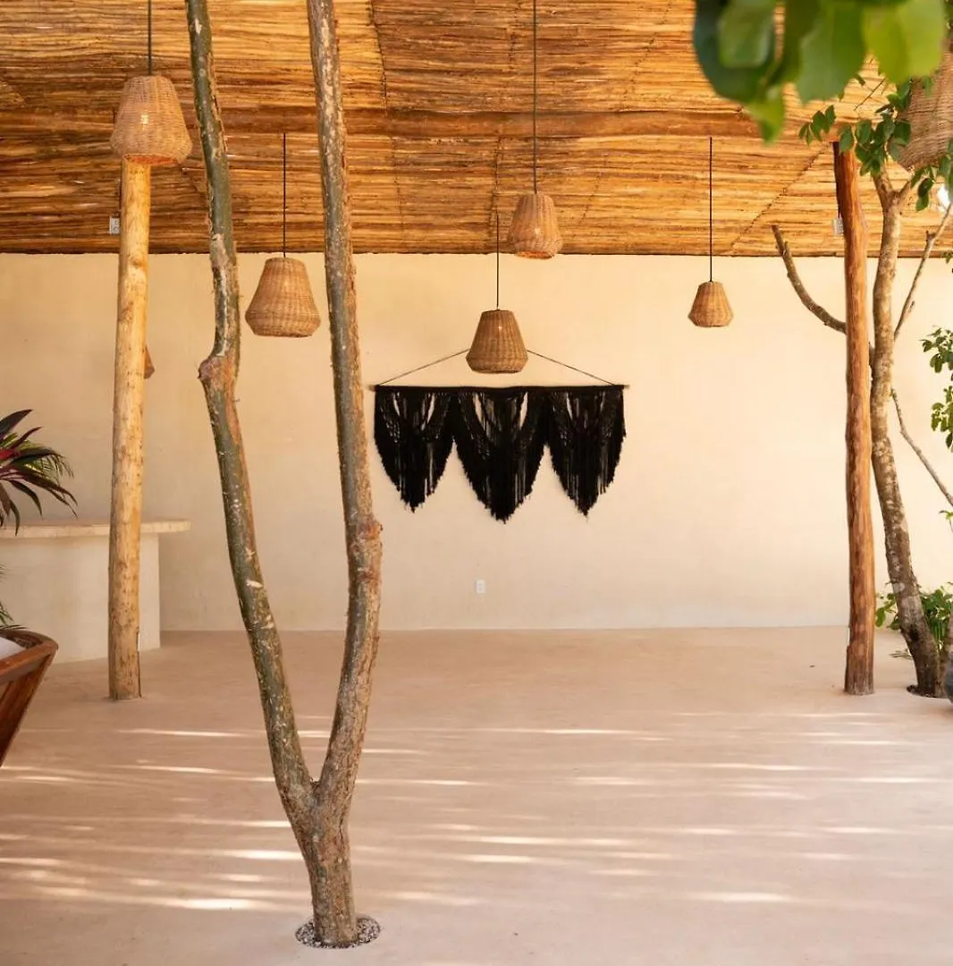 Kasa Uh May-Tulum Francisco Uh May Βίλα